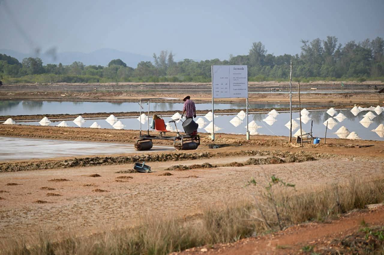 title - ส.ป.ก.ร่วมติดตามคาดการณ์สถานการณ์เกลือทะเล และประชุมคณะกรรมการพัฒนาเกลือทะเลไทย  และคณะทำงานภายใต้คณะกรรมการพัฒนาเกลือทะเลไทย (หารือพัฒนาระบบการผลิตและตลาดเกลือทะเลไทย)  